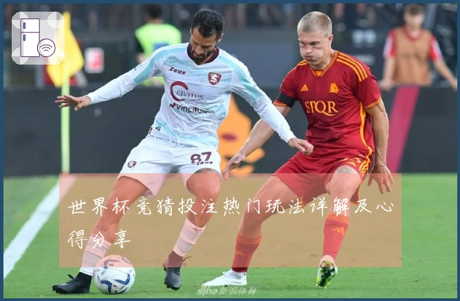 世界杯竞猜投注热门玩法详解及心得分享