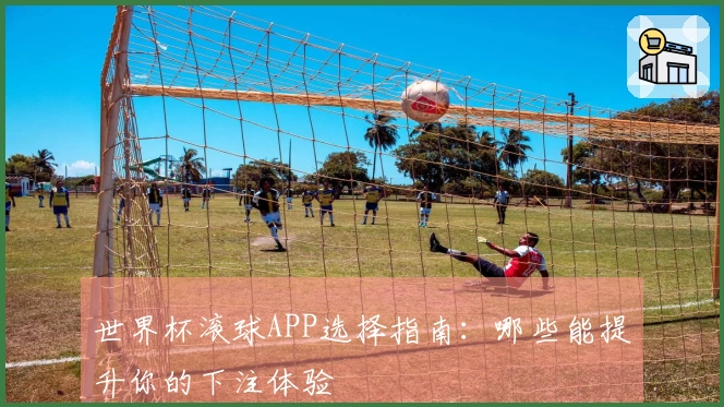 世界杯滚球APP选择指南：哪些能提升你的下注体验