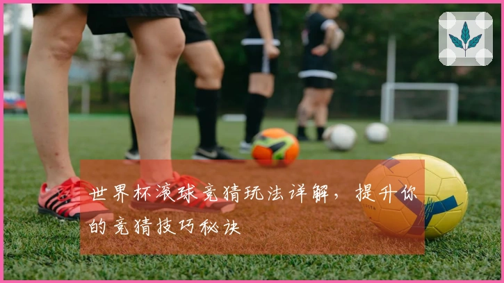 世界杯滚球竞猜玩法详解，提升你的竞猜技巧秘诀
