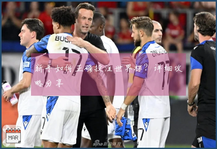 新手如何正确投注世界杯？详细攻略分享