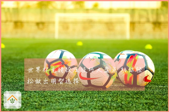 世界杯竞猜投注技巧大盘点 助你轻松做出明智选择