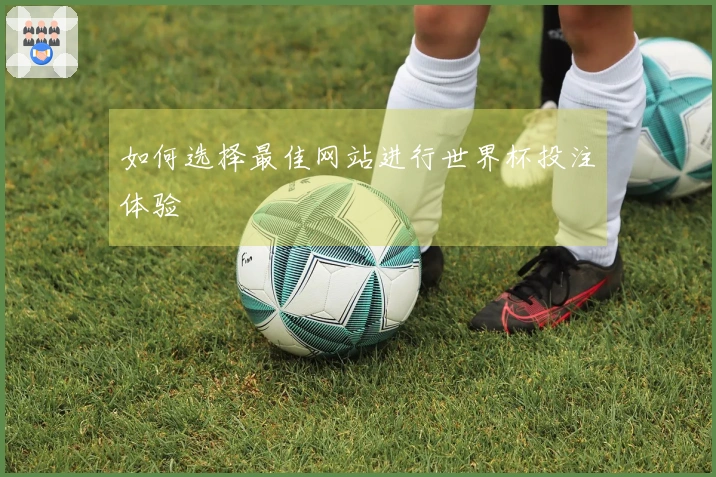 如何选择最佳网站进行世界杯投注体验