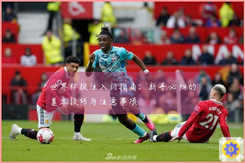 世界杯投注入门指南：新手必知的基本技巧与注意事项