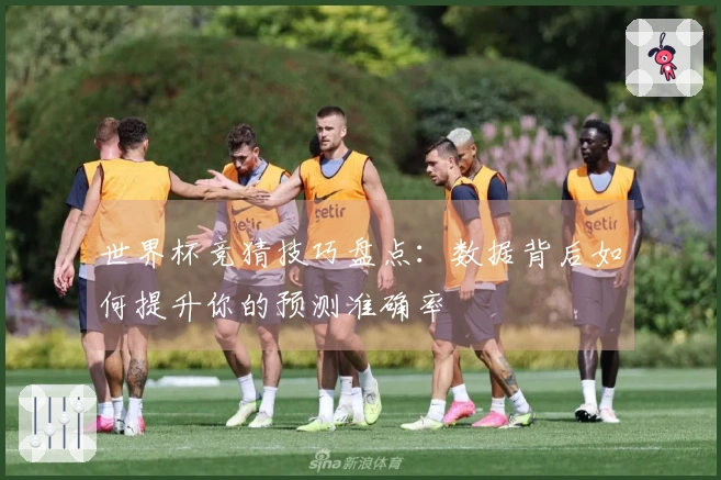 世界杯竞猜技巧盘点：数据背后如何提升你的预测准确率