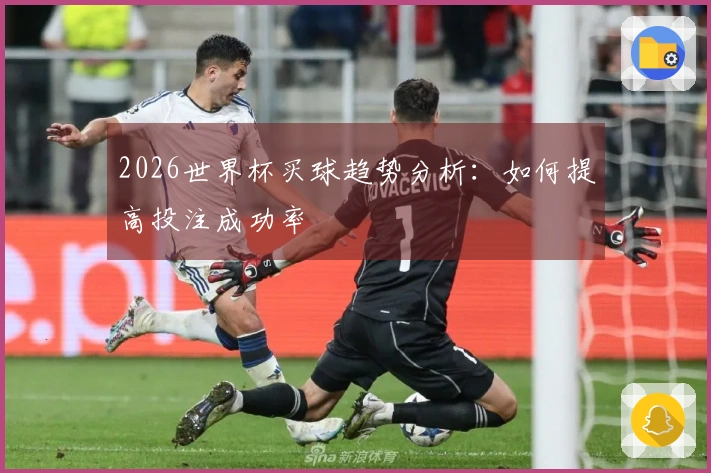2026世界杯买球趋势分析：如何提高投注成功率