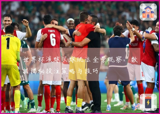 世界杯滚球买球玩法全景观察，数据揭秘投注策略与技巧