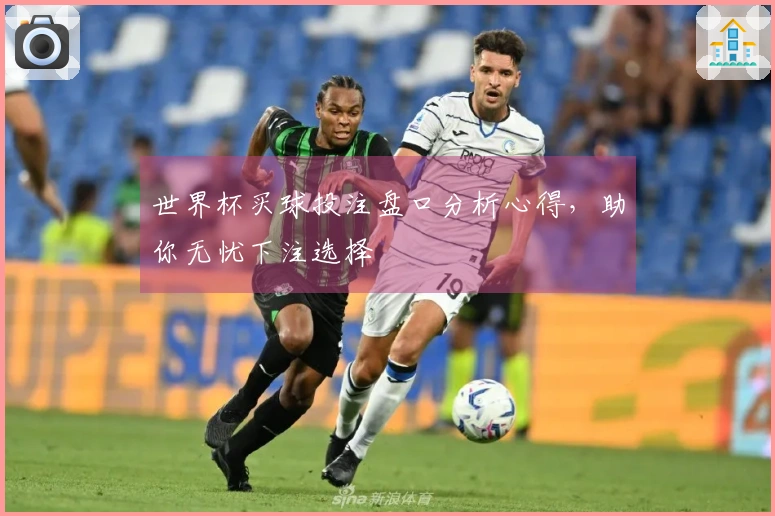 世界杯买球投注盘口分析心得，助你无忧下注选择