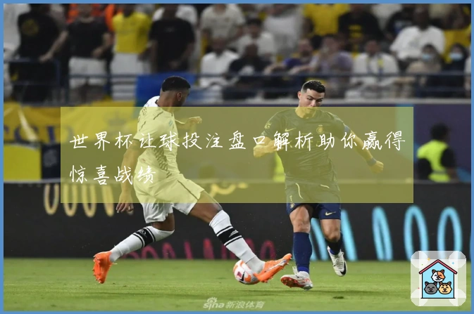 世界杯让球投注盘口解析助你赢得惊喜战绩