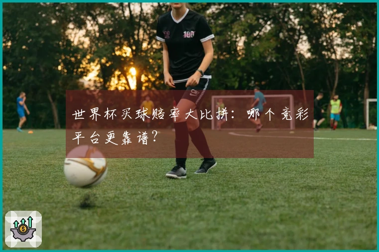 世界杯买球赔率大比拼：哪个竞彩平台更靠谱？