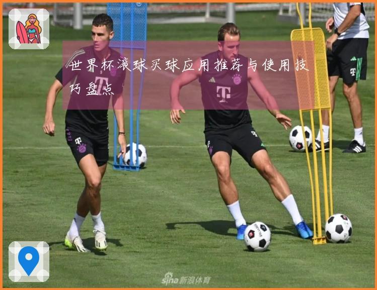 世界杯滚球买球应用推荐与使用技巧盘点