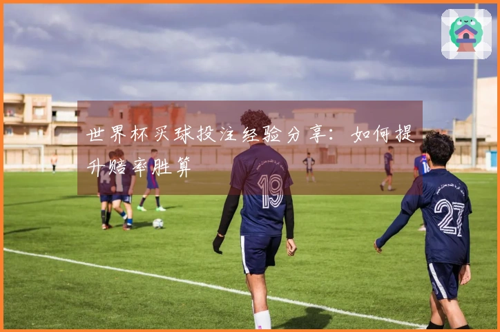 世界杯买球投注经验分享：如何提升赔率胜算