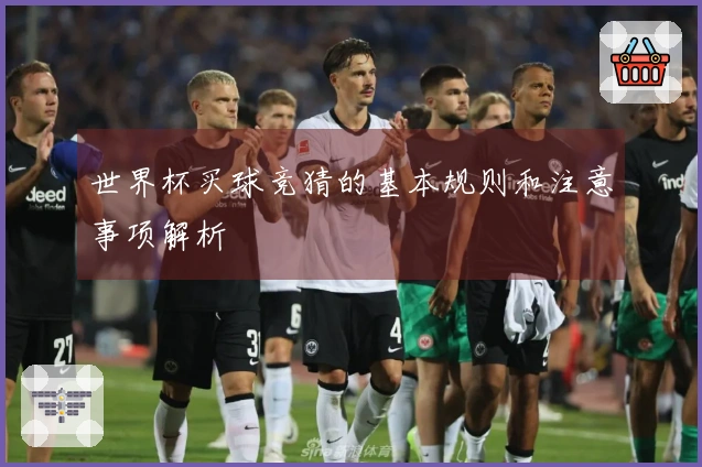 世界杯买球竞猜的基本规则和注意事项解析