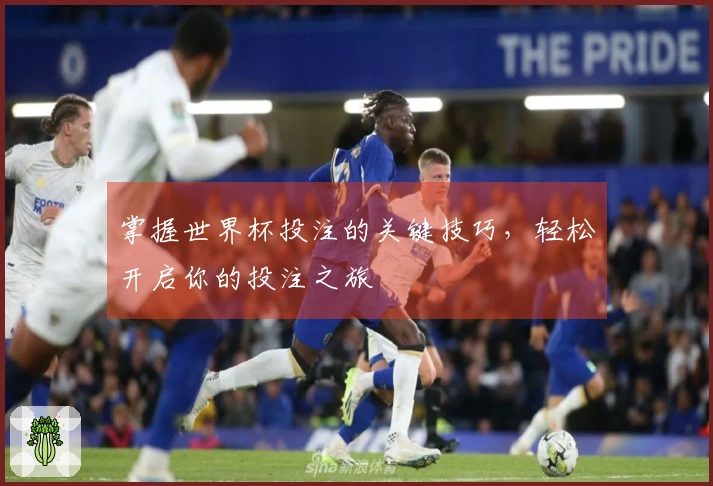 掌握世界杯投注的关键技巧，轻松开启你的投注之旅