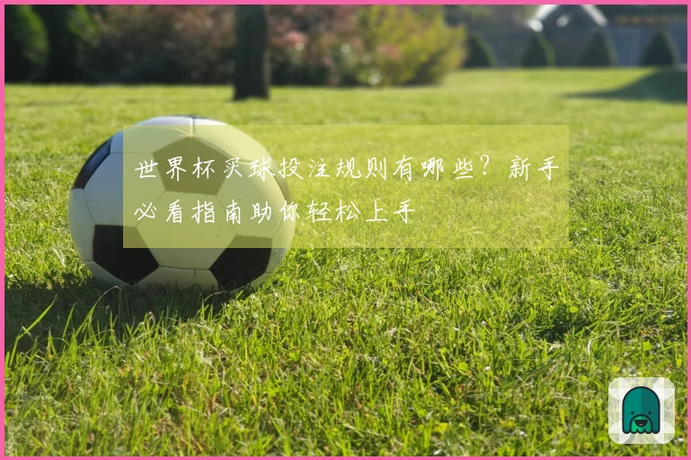 世界杯买球投注规则有哪些？新手必看指南助你轻松上手