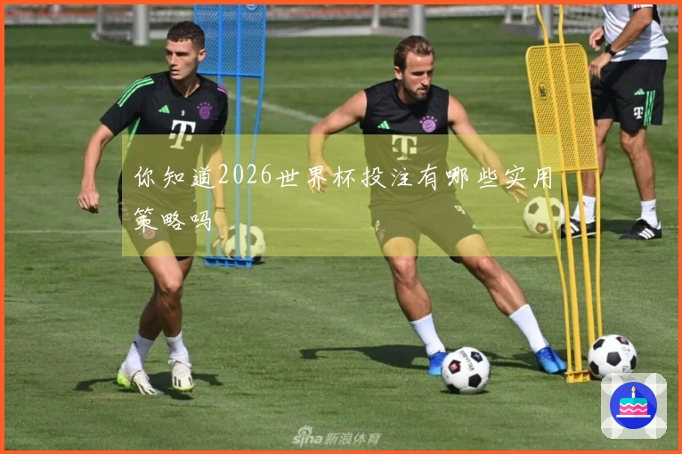 你知道2026世界杯投注有哪些实用策略吗