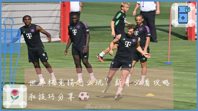 世界杯竞猜怎么玩？新手必看攻略和技巧分享