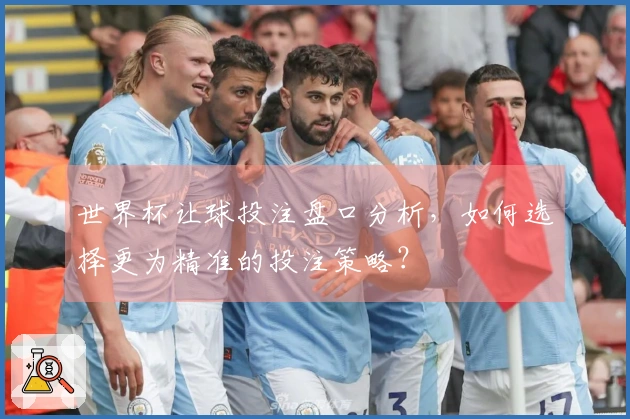 世界杯让球投注盘口分析，如何选择更为精准的投注策略？
