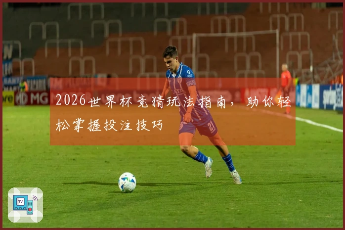2026世界杯竞猜玩法指南，助你轻松掌握投注技巧