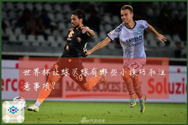 世界杯让球买球有哪些小技巧和注意事项？