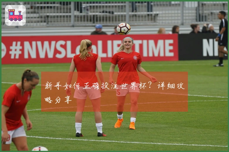 新手如何正确投注世界杯？详细攻略分享