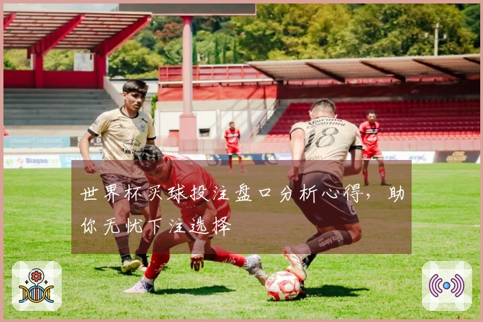 世界杯买球投注盘口分析心得，助你无忧下注选择
