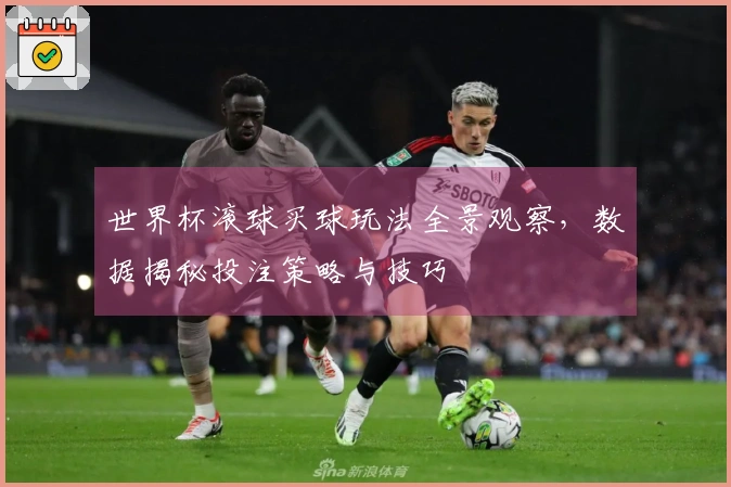 世界杯滚球买球玩法全景观察，数据揭秘投注策略与技巧