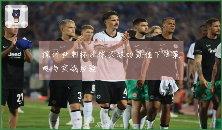 探讨世界杯让球买球的最佳下注策略与实战经验